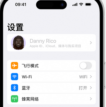 恩平appleID维修服务iPhone设置中Apple ID显示为灰色无法使用 