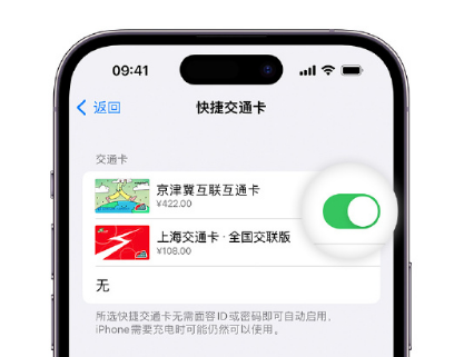 恩平apple维修点分享iPhone上更换Apple Pay快捷交通卡手绘卡面 