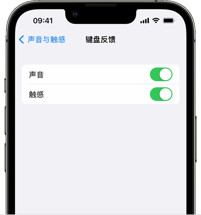 恩平苹果14维修店分享如何在 iPhone 14 机型中使用触感键盘 