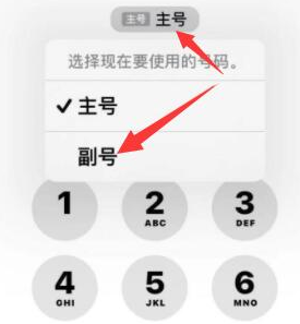 恩平苹果14维修店分享iPhone 14 Pro Max使用副卡打电话的方法 