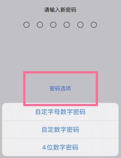 恩平苹果14维修分享iPhone 14plus设置密码的方法 