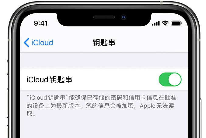 恩平苹果手机维修分享在 iPhone 上开启 iCloud 钥匙串之后会储存哪些信息 