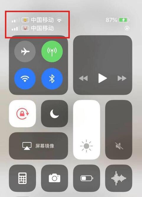恩平苹果手机维修分享为 iPhone 12 双卡设置标签 